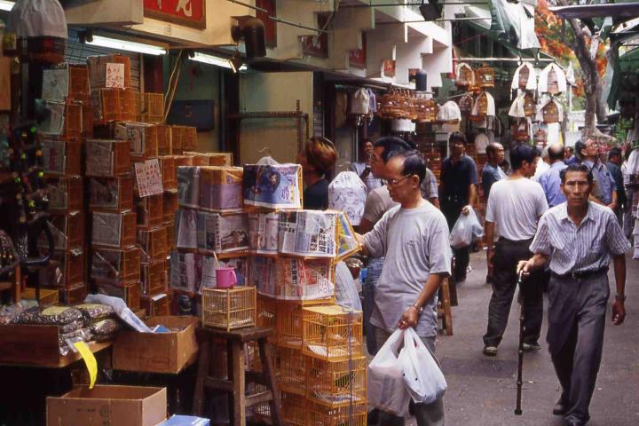 Yuen Po Street Bird Market.
