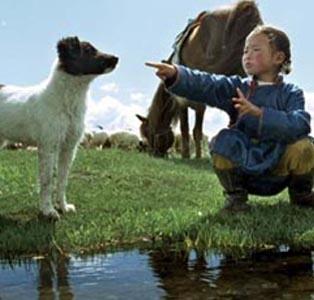 The Cave of the Yellow Dog