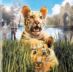 Two Brothers: Sangha and Kumal