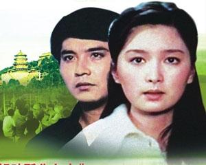 A Symphony of Cooking Utensils