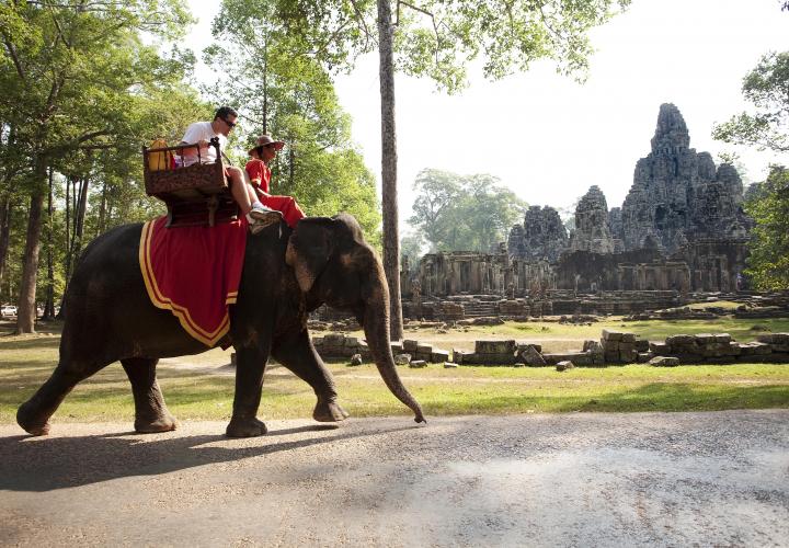 Elephant Ride in Siem Riep