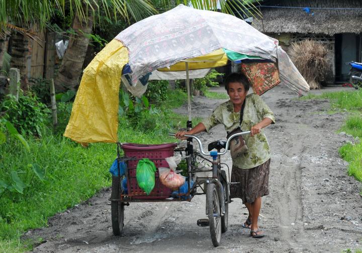 Creative Conveyance, vegetable vendor.