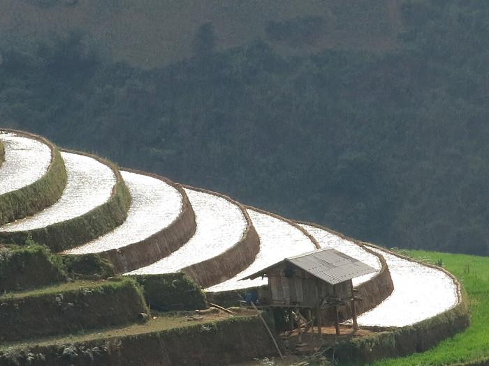 landscape in Mu Cang Chai - Vietnam