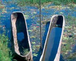 Bedugul, Bali (Indonesia) Dugout canoes on Lake Bratan