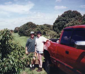 Bill Mee and Krystal Folino in their Ft. Lauderdale, Florida Lychee Grove.