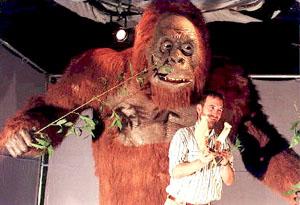 Professor Stringer (Natural History Museum, UK) with a model of the jawbone of a Gigantopithicus, huge apes now extinct, believed to be the most relevant evidence of the existence of the Yeti.