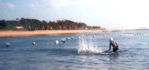 The sea's syntax was punctuated by a fisherman slapping the water with a wooden paddle.