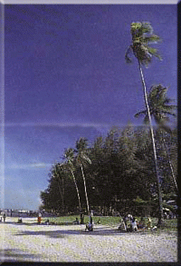 The Breathtaking Pantai Cahaya Bulan