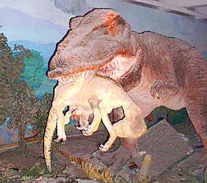 Dinner at Beijing's Natural History Museum. Beijing, China.