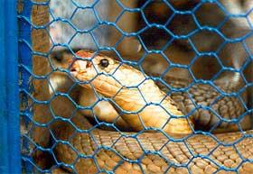 For something different and a little exotic, head to the Mekong Delta