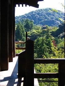 View from the veranda.