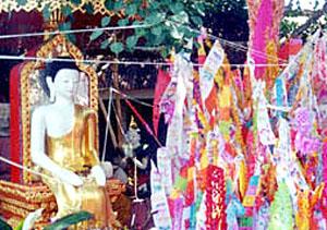 Bodhi Tree and Dtoong at Wat Phratat Doi Suthep, Chiang Mai, Thailand.