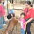 My daughter Kancana Preetika at the petting zoo