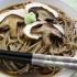 Soba Noodles with Chicken and Shiitake Mushrooms