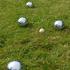 Pétanque