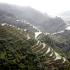 The spectacular Banaue rice terraces rise like giant steps to the sky.