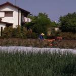 Rice is Japan's most important agricultural crop. And although only 15% of Japan's landmass is suitable for cultivation, 14 million acres are planted with rice, many of them postage-stamp sized family farms nestled in vacant lots between suburban buildings.