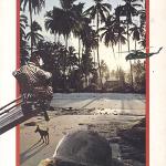 Hollywood's Vietnam From The Green Berets to Full Metal Jacket. By Gilbert Adair William Heinemann Ltd, 1989, London.