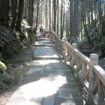 Alishan National Forest, Alishan, Chiayi County, Taiwan.