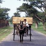 Horse cart, Bagan, Burma.