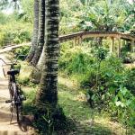 Riverside scene near Can Tho: a bicycle the best way of getting around.