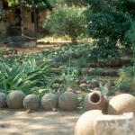 Cannonball garden, at the old Portuguese Fort. Diu Island, Gujarat, India.