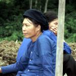 Ba Be lake, Tay minority village.