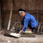 Ba Be lake, Tay minority village.
