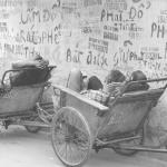 Sleeping Cyclo Drivers