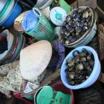 Noontime Nap in Conical Hat
