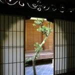 Tea ceremony room at Koto-in, a subtemple garden at Daitokuji. 