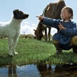 The Cave of the Yellow Dog