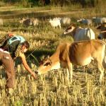 Trekking outside Pai, in Mae Hong Son province, Thailand.