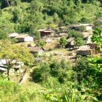 Trekking outside Pai, in Mae Hong Son province, Thailand.