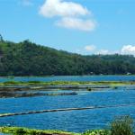 Philippines, Mindanao, Lake Sebu Fish Pens.