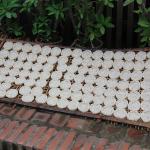 Rice cakes drying on the street in Laos. 