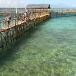 Dolphin Island in Aquamarine Park