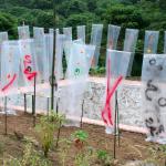 Plastic banners flap in late-summer wind before the performance. Ingenuity in a beautiful setting.