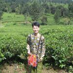 Gunung Mas Tea Estate