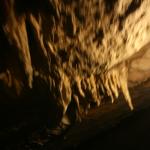 Put your head down! my guide says. We crouch in our wooden boat to dodge stalactites.