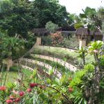 Ubud Botanic Garden