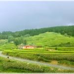 Anshun (Guizhou Province, China)