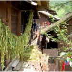 Drying the crop (Datang, Prefecture Qian Dong Nan, Guizhou province)