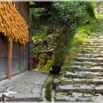 Cozy corner of a farmhouse in Langde, village of ethnic group of  Miao (prefecture Qian Dong Nan, Guizhou province)