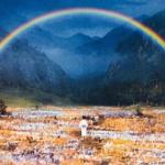 Akira Kurosawa's Dreams  