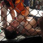 dropped like a dead tree