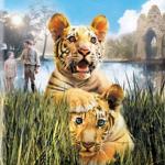 Two Brothers: Sangha and Kumal