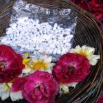 Offerings at the holy shrine of Nizamuddin.