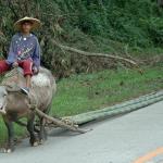 Local near Lake Sebu, Mindanao