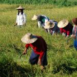 Mindanao, The Ancient South.